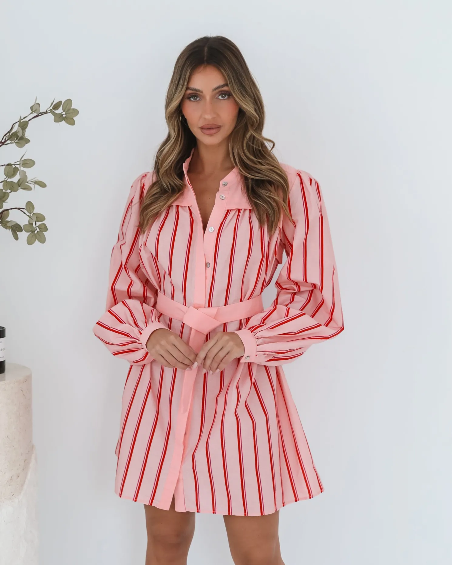 Josiane Dress - Pink Stripe
